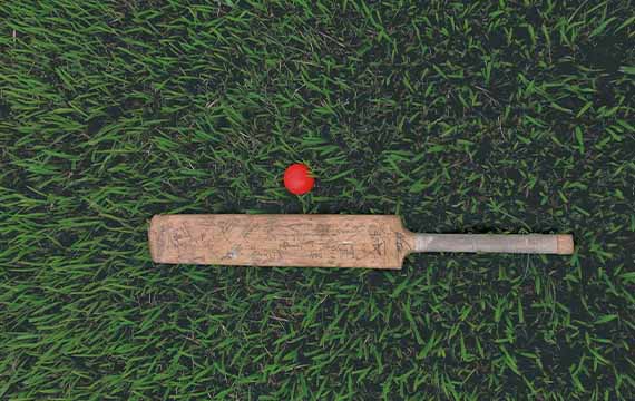 Cricket Activity At Apple Luxury Farmhouse Gurugram